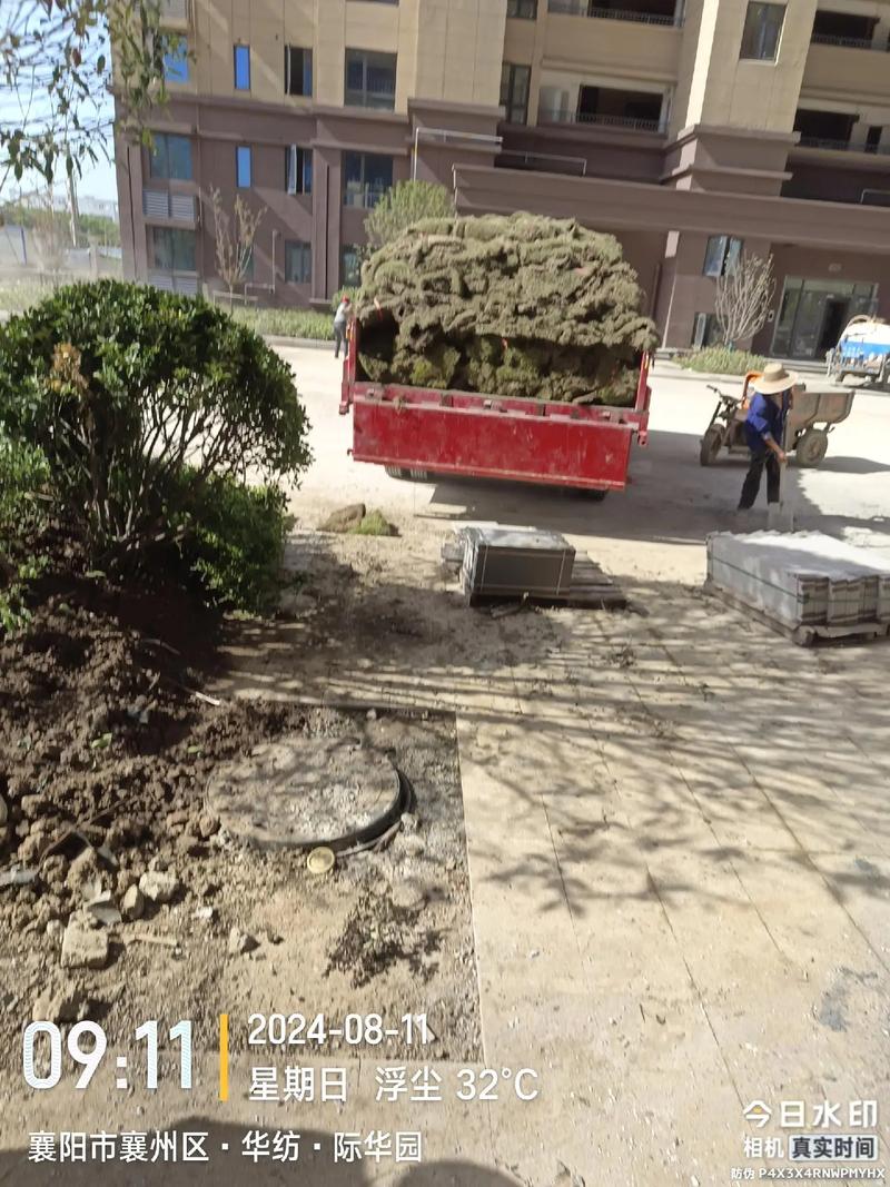 园林景观绿化工程现场实拍 小区绿化施工的匠心与细节